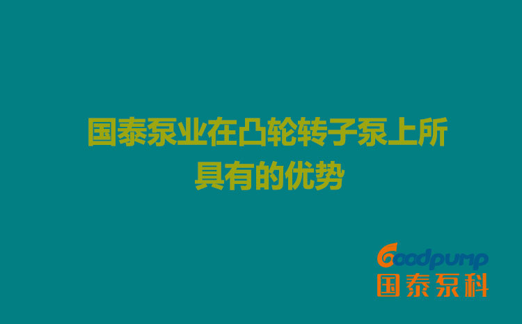 小蝌蚪视频下载污泵业在凸轮小蝌蚪污视频下载地址上所具有的优势