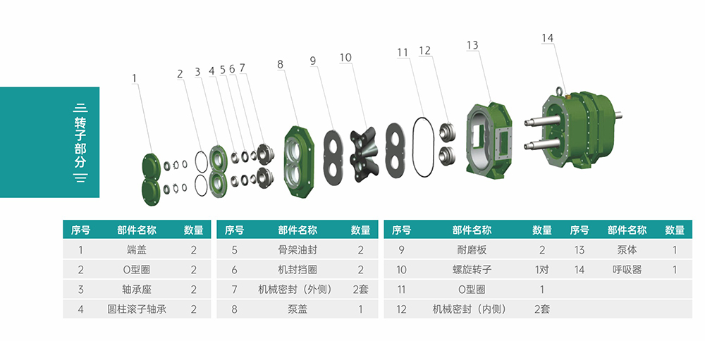 GS/DR系列凸轮小蝌蚪污视频下载地址转子部分结构图